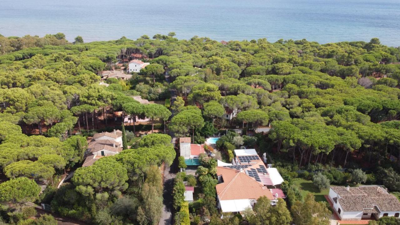 Jungle House - Pineta Is Morus Santa Margherita di Pula Exterior foto