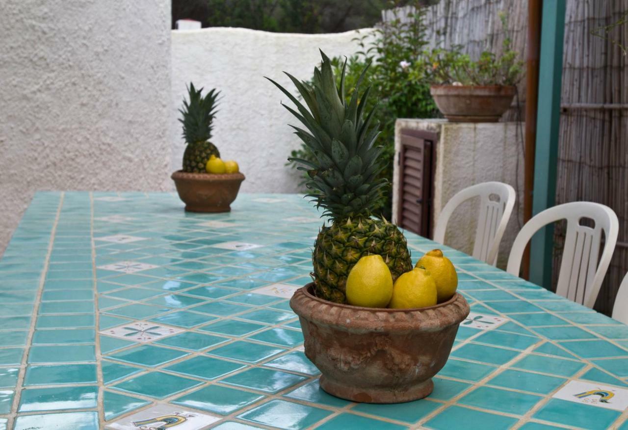Jungle House - Pineta Is Morus Santa Margherita di Pula Exterior foto