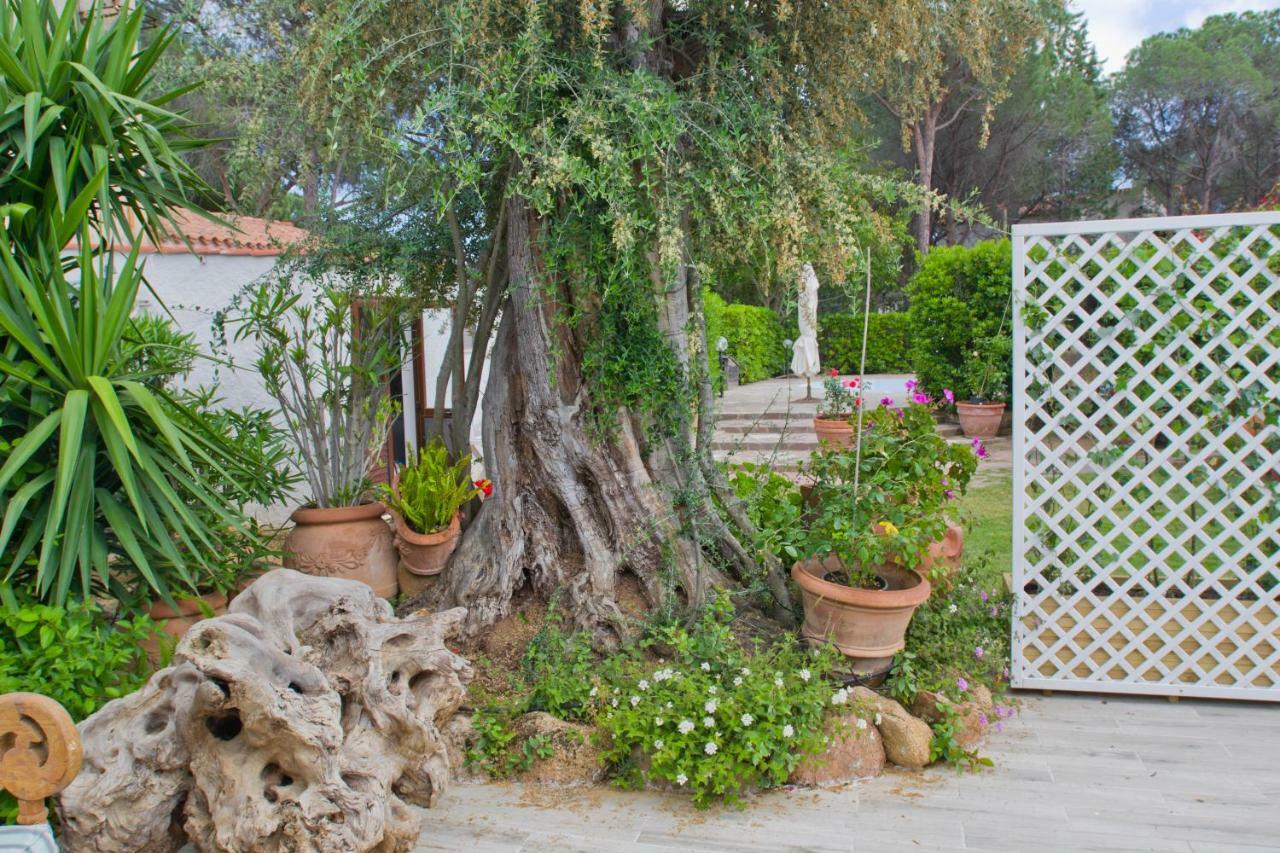 Jungle House - Pineta Is Morus Santa Margherita di Pula Exterior foto